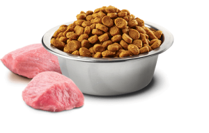 Farmina N&D Grain Free Food for Kittens - Chicken & Pomegranate - Image 2