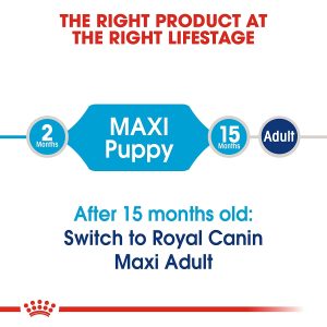 Royal Canin Maxi Puppy Food - Image 2