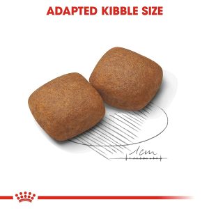 Royal Canin Giant Junior Dry Dog Food - Image 2
