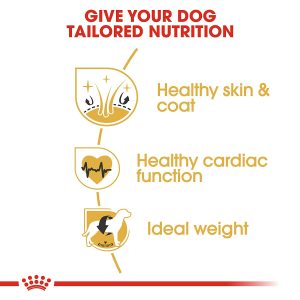 Royal Canin Golden Retriever Adult 12kg - Image 3