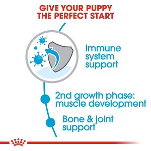 Royal Canin Giant Junior Dry Dog Food - Image 3