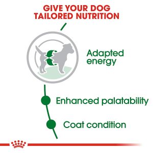 Royal Canin Mini Adult, 8kg - Image 2
