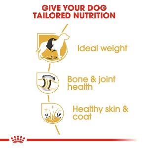 Royal Canin Labrador Adult 12 kg FREE Slow Down Feeder Bowl - Image 4