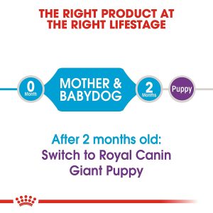 Royal Canin Giant Starter - Image 2