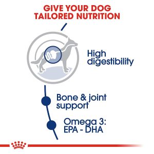 Royal Canin Maxi Adult - Image 3
