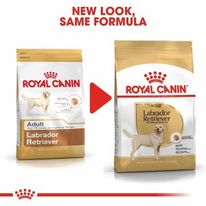 Royal Canin Labrador Adult 12 kg FREE Slow Down Feeder Bowl - Image 5