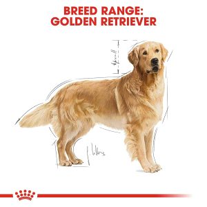 Royal Canin Golden Retriever Adult 12kg - Image 4