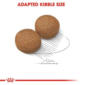 Royal Canin Maxi Adult - Image 7
