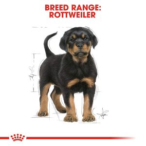 Royal Canin Rottweiler Puppy Food - Image 4