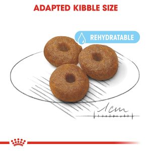 Royal Canin Maxi Starter - Image 5