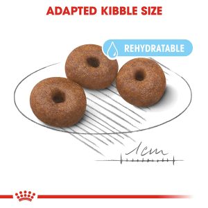 Royal Canin Giant Starter - Image 4