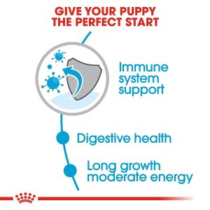 Royal Canin Maxi Puppy Food - Image 6