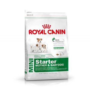 royal canin mini starter