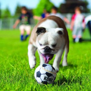 KONG Sport Balls Dog Toy - Image 2