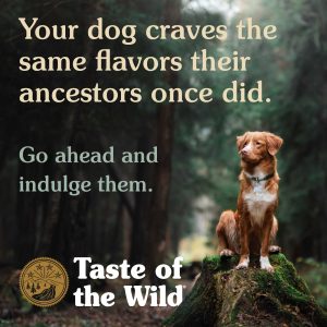 Taste of the Wild Pacific Stream Puppy Formula with Smoked Salmon - Image 3