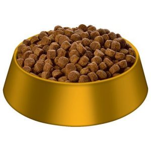 Hill's Science Diet Puppy Large Breed Chicken Meal & Oats Recipe Dry Puppy Food - Image 2
