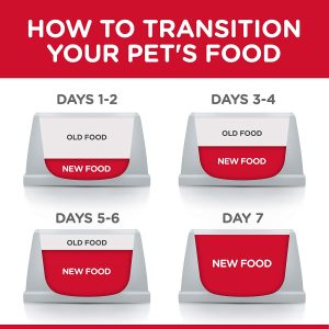Hill's Science Diet Puppy Large Breed Lamb Meal & Rice Recipe dry Puppy Food - Image 3