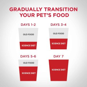 Hill's Science Diet Puppy Large Breed Chicken Meal & Oats Recipe Dry Puppy Food - Image 3