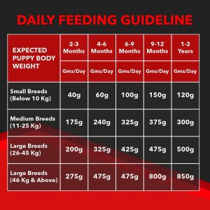 Drools Focus Puppy Super Premium Dry Dog Food 12 kg (+1 kg Free Inside) - Image 5