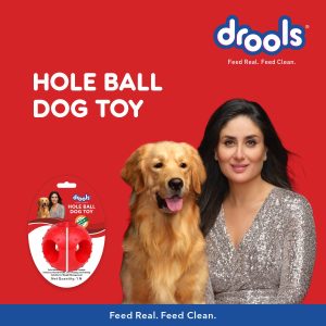 Drools Non-Toxic Rubber Hole Ball Chew Toy, Puppy/Dog Teething Toy - 3 inches - Image 4