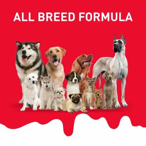 Drools Absolute Milk Bone Jar Dog Treats - 40 Pieces (600 g) - Image 5