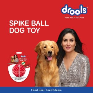 Drools Non-Toxic Rubber Spike Ball Chew Toy Puppy/Dog Teething Toy - 3 inches - Image 3