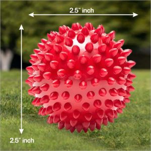 Drools Non-Toxic Rubber Spike Ball Chew Toy Puppy/Dog Teething Toy - 3 inches