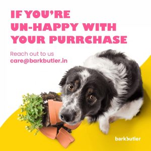 Barkbutler's BOH The Bear Soft Squeaky Plush Dog Toy - Image 6